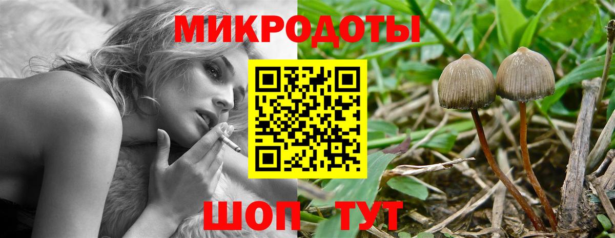 Псилоцибиновые грибы мицелий Златоуст